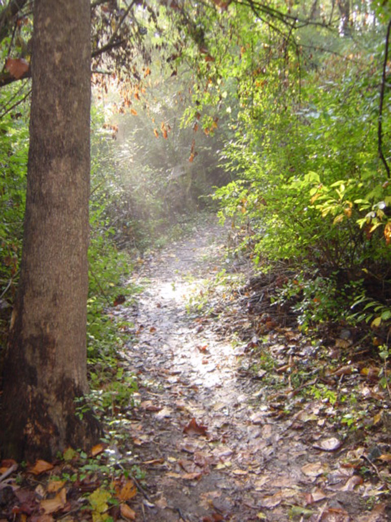 Little Creek Nature Area